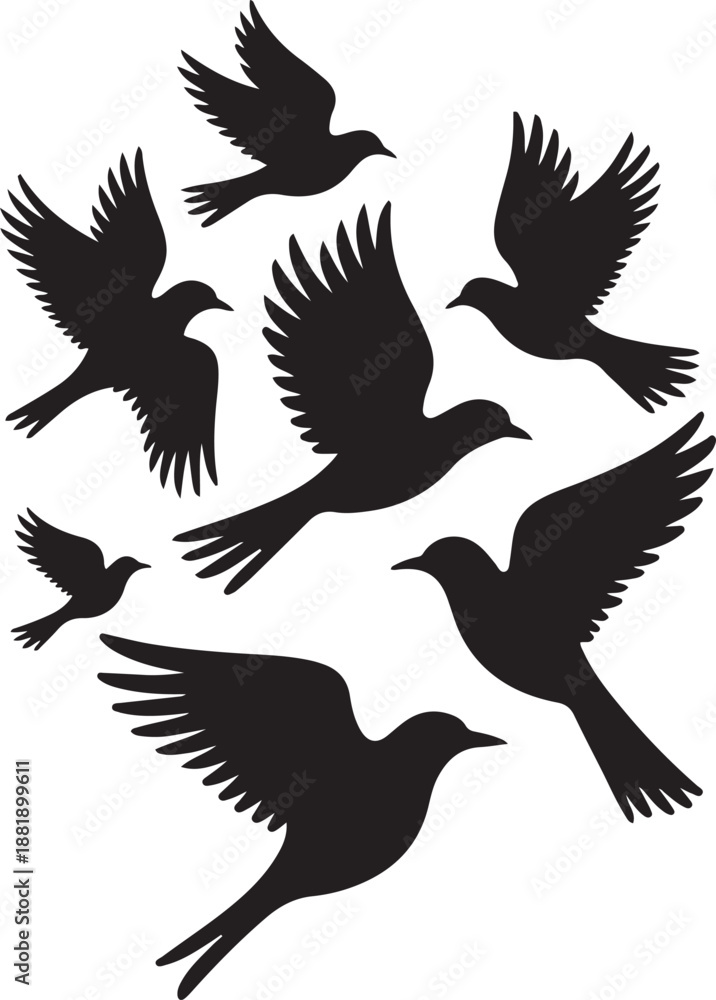 Obraz premium Flying birds. Silhouette vector illustration with white background.