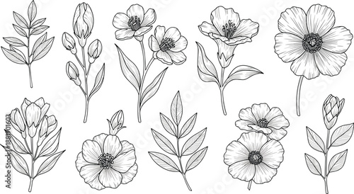 Hand-drawn botanical illustration of colorful flowers, buds, and berry branches for nature design, floral art, and educational use