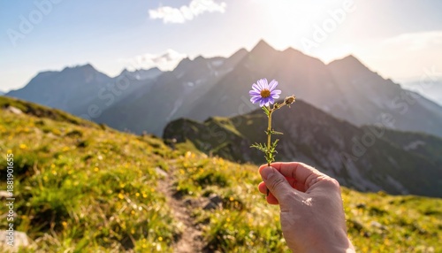Hand Holding Purple Flower with Majestic Mountain Range in Soft Golden Hour Sunlight Outdoors