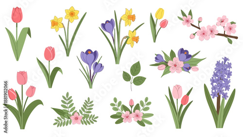 Colorful Spring Flowers and Foliage Illustrations.