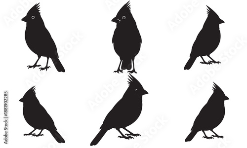 Collection of six black silhouettes of northern cardinal birds in various poses and angles.