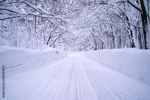 Foto 日本、青森の雪景色