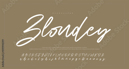 Elegant Script Font Alphabet Typography 