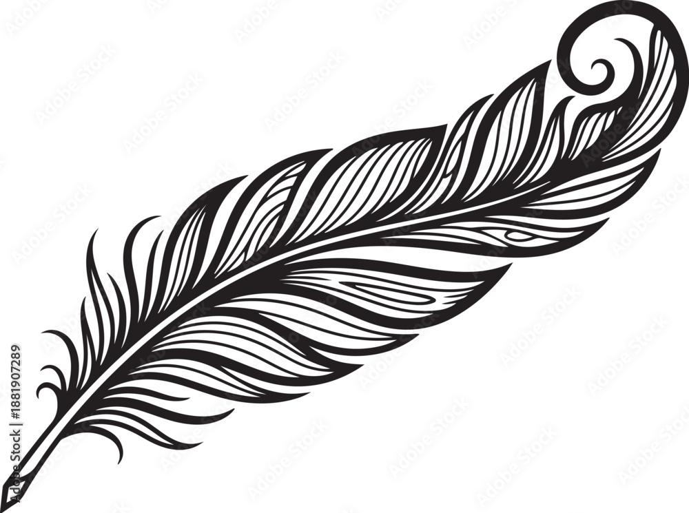 Obraz premium Ornamental Peacock Feather Line Art