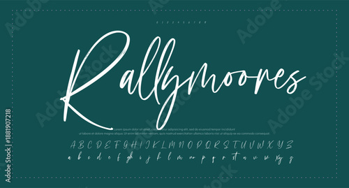 signature Font Calligraphy Logotype Script Brush Font Type Font lettering handwritten 