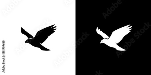 Black and white bird silhouettes in flight on split contrasting backgrounds