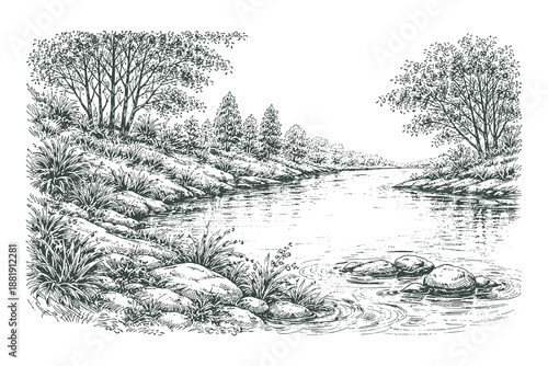 Tranquil river flowing through a lush forest landscape with trees and stones, vintage hand-drawn line art vector illustration for nature theme.