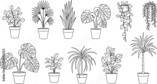 Black and white line art illustration of ten diverse potted indoor houseplants, minimalist botanical drawing showcasing foliage variety and decorative design