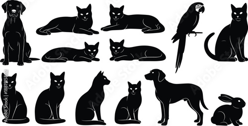 Collection of domestic animal silhouettes including cats dogs parrot and rabbit in sitting lying and standing poses isolated on white background vector illustration