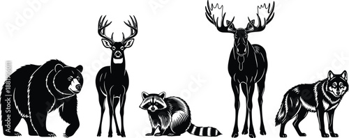Detailed black and white wildlife illustrations featuring a grizzly bear antlered deer raccoon majestic moose and wild wolf for nature conservation themes