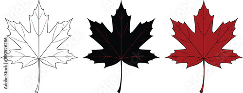 Maple leaf icon set in outline, solid, and colored styles representing autumn, nature, and Canadian symbolism for design projects