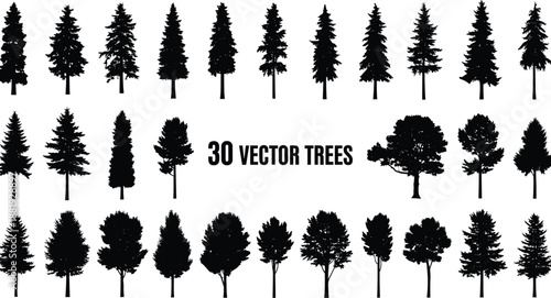 Black silhouettes of various trees in a grid layout with text 30 trees conifer deciduous
