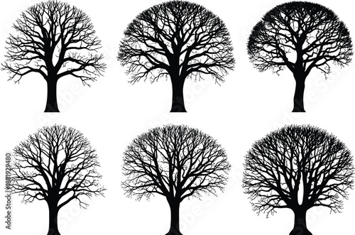 Six black and white tree silhouettes arranged in two rows of three on a white background