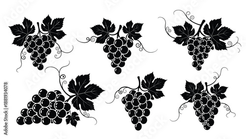 Six black and white illustrations of grape clusters with vines and leaves in various arrangements for wine and food design.