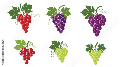 Diverse collection of grape bunches in various colors including red, purple, and green, perfect for vineyard or fruit branding.