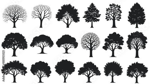 Large variety of black tree silhouettes with different leaf patterns and structures, representing diverse species and forest types.