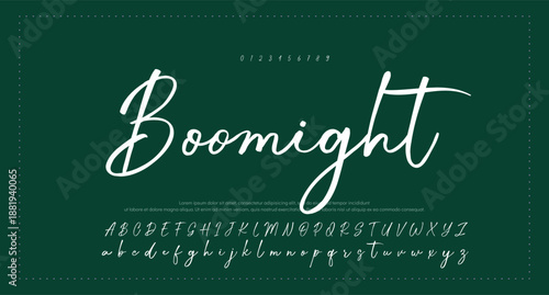 elegant handwritten font that captures a realistic signature style, great for personal logos and stationery. 