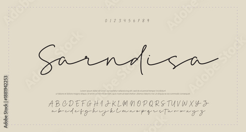 Elegant Script Font Alphabet Typography 
