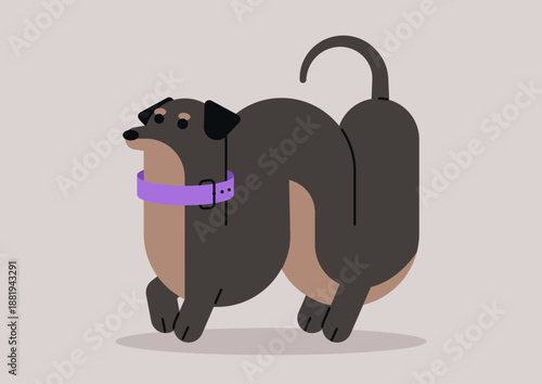 This artwork showcases a cartoon dog with a sleek, elongated body and short legs, embodying a charming dachshund on a light toned backdrop, captured in mid stride.