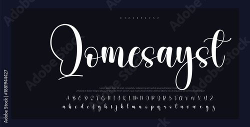 signature font with a classic vibe — perfect for nostalgic brands, vintage posters, old-school logos, and timeless design projects. 