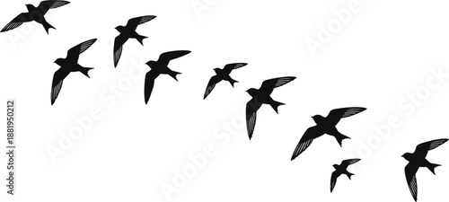 Flying Bird Silhouettes Vector Illustration Showing Migrating Birds in Formation Minimal Black Wildlife Design