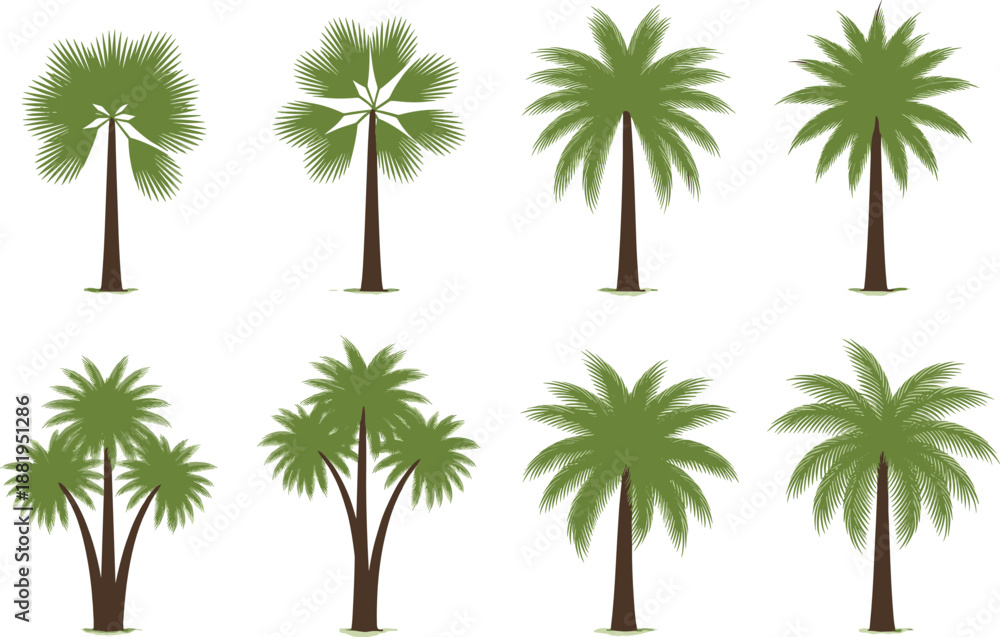 Obraz premium Palm Tree Vector Set Featuring Tropical Plants and Green Foliage in Flat Botanical Illustration Style