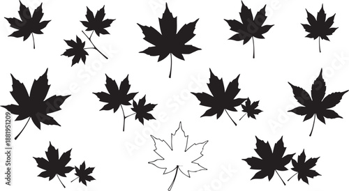 Maple Leaf Silhouette Set – Black and Outlined Leaves on White Background