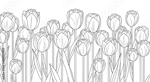 Detailed black and white line art of a dense field of tulips and leaves creating a beautiful floral border on white.