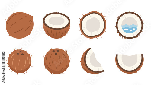 Collection of stylized coconuts showing whole and halved tropical fruit illustrations