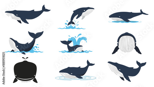 Collection of cartoon humpback whales in various playful poses and ocean scenes