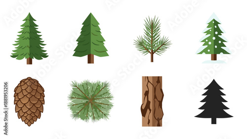 Collection of stylized evergreen trees, pine cone, needles, and bark textures