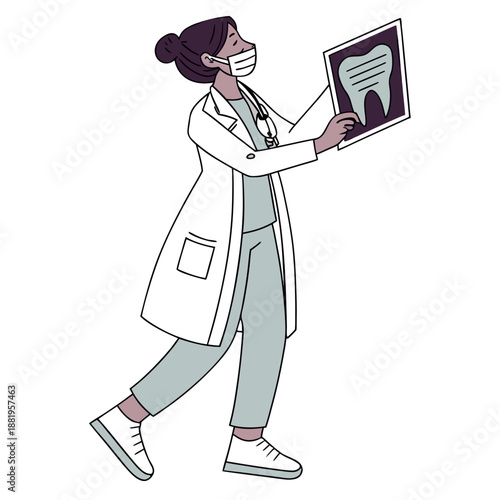 Professional female dentist examining a dental x-ray board in a clean medical clinic office, healthcare concept, vector illustration