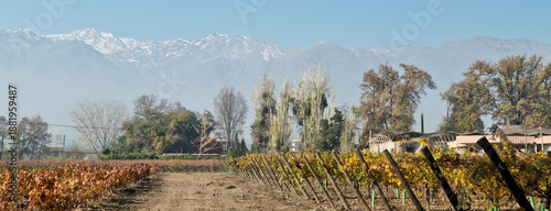 Winery at sunset with the snow capped Andes mountains in Chile