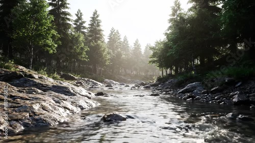 Serene River Flowing Through Forest Landscape.