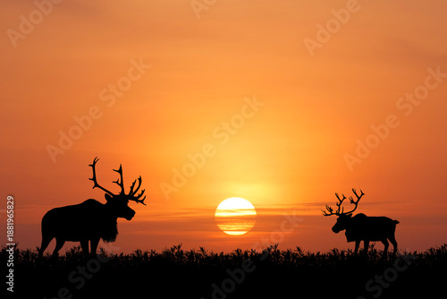 Wallpaper Mural Silhouette of majestic deer against a vibrant sunset. The animals are silhouetted, and the sun is setting, creating a beautiful contrast Torontodigital.ca