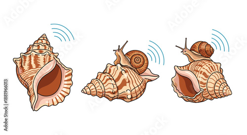 Artistic illustration of seashells and snails depicted with blue signal waves suggesting communication or natural sonar capabilities.
