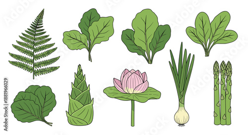 Fresh vegetables and greens including fern, spinach, lotus flower, bamboo shoot, green onion, and asparagus spears.