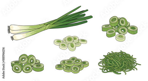 Detailed illustration of whole green onions alongside various piles of chopped and sliced onion pieces for cooking.