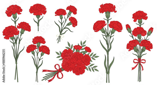 Beautiful collection of red carnation flowers in various arrangements including single stems, bouquets, and ribbon-tied bunches.
