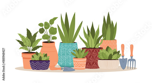 Assorted indoor house plants in decorative colorful ceramic pots arranged with gardening hand tools on a plain background.