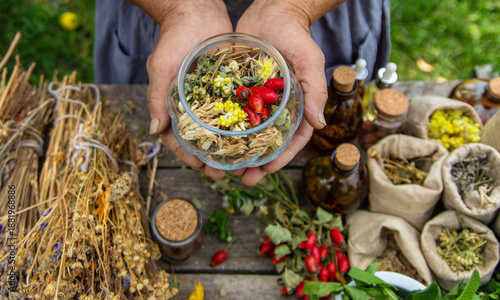 Εκτύπωση καμβά Medicinal herbs alternative medicine old woman. Selective focus.