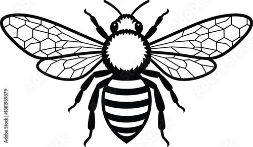 Honey Bee Vector Illustration with Detailed Wings and Stripes, Black and White Insect Symbol, Nature Wildlife Design Isolated on White Background