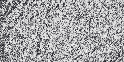 Dense monochrome abstract pattern with intricate organic formations and a granular texture, ideal for adding depth and a unique visual element to designs