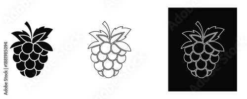 Blackberry Fruit Icons in Different Styles and Backgrounds icon illustration vector graphic design black white outline solid color background