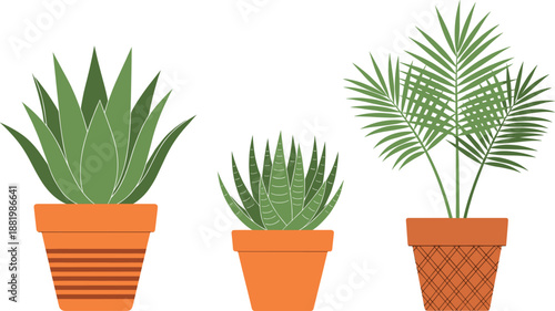 Set of three indoor houseplant vectors including succulents and a small palm in decorative orange ceramic pots