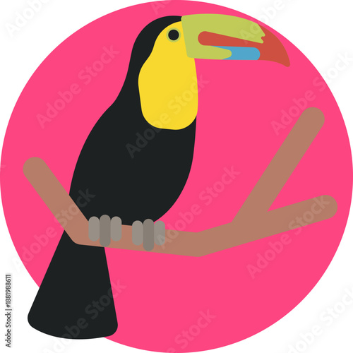 A stylized toucan icon representing Ecuador’s rich rainforest wildlife and tropical biodiversity.