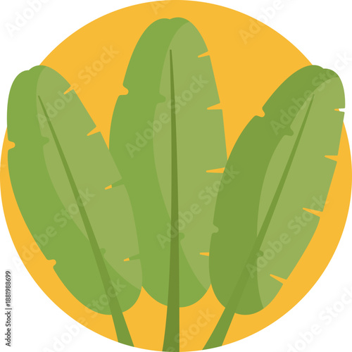 A simple icon showing coca leaves, representing traditional plants used in Ecuadorian culture and ancestral practices.