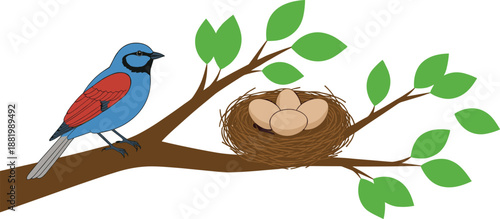 Bird Sitting on Tree Branch with Nest and Eggs Illustration Showing Nature, Wildlife, Spring Season, Motherhood, and Natural Life Cycle Concept