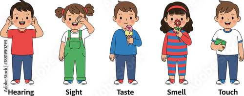 Five Senses of Human Body Cartoon Illustration with Children Demonstrating Hearing Sight Taste Smell and Touch for Education and Learning Concepts