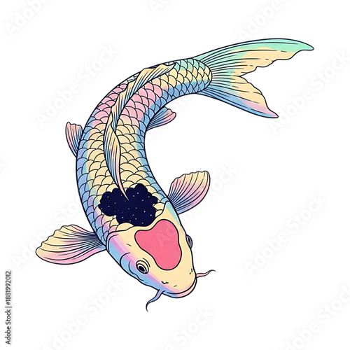 Traditional Japanese Koi Fish Vector Illustration